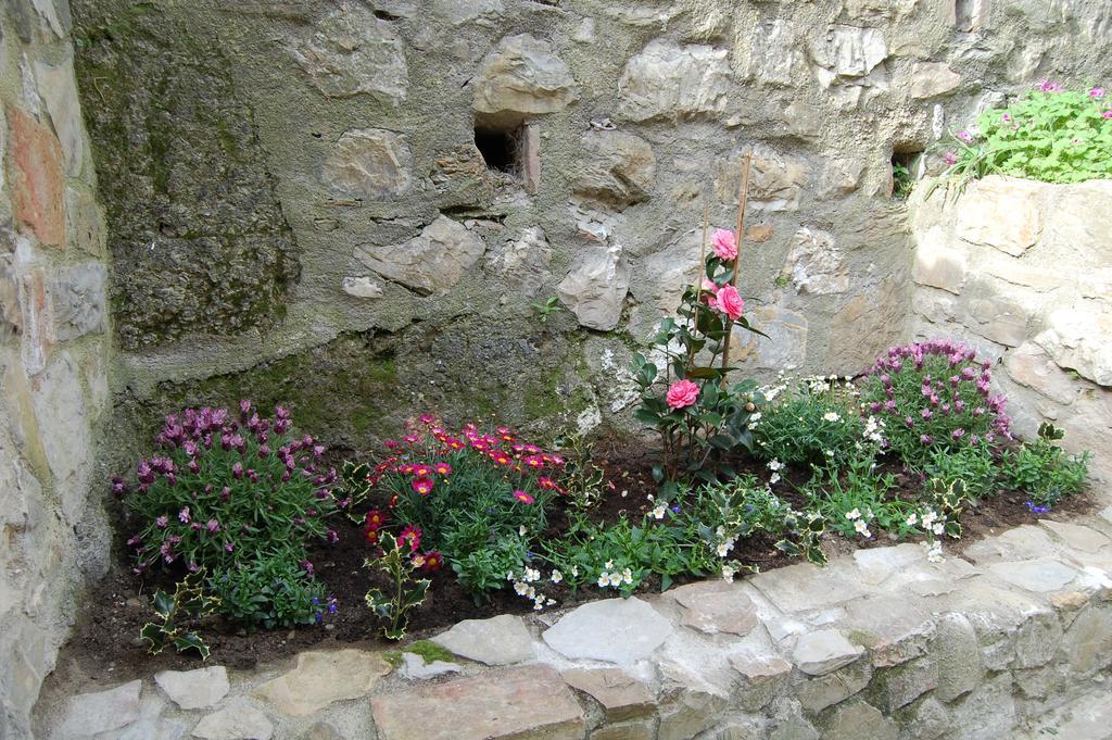 Montecerboli 艾米莉旅馆酒店 外观 照片